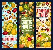 Exotic fruits, organic tropic fruit harvest