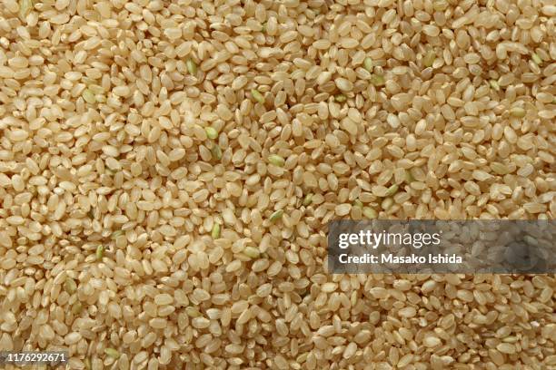 full frame of texture, japanese brown rice - genmai - brown rice stock pictures, royalty-free photos & images