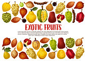 Exotic fruits and Asian tropical berries