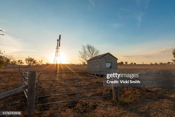 windmill and old shed out in the country at sunset - toowoomba stockfoto's en -beelden