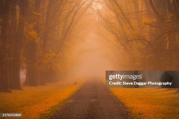 misty morning - uralla imagens e fotografias de stock