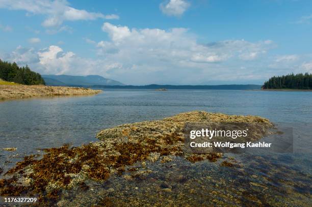 The shoreline at low tide, exposing barnacles, kelp and other marine life at Pavlof Harbor State Marine Park which is located on Chicagof Island,...