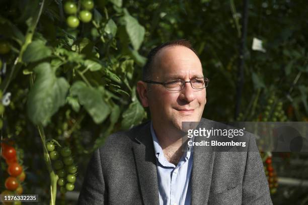 Lee Stiles, secretary of the Lea Valley Growers Association, stands among tomato plants inside the greenhouses at Valley Grown Nurseries in Nazeing,...
