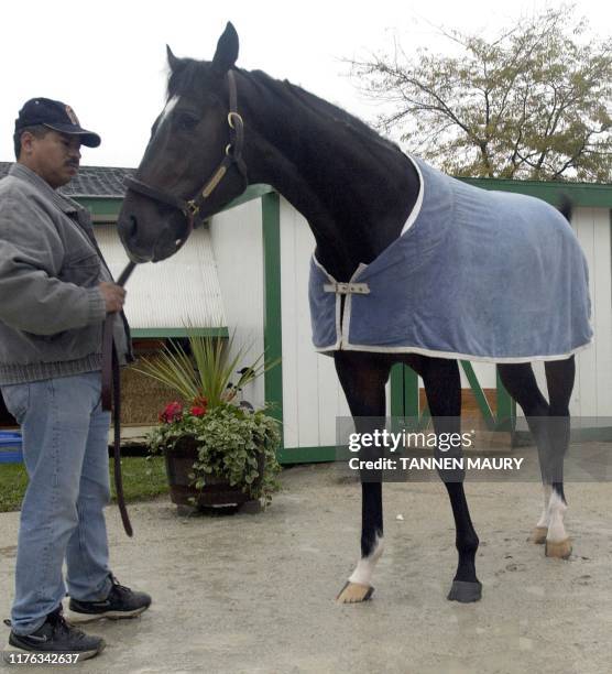 Medaglia D'oro stands with a groom outside the stable for the Breeders Cup 25 October 2002 at Arlington International Racecourse in Arlington...