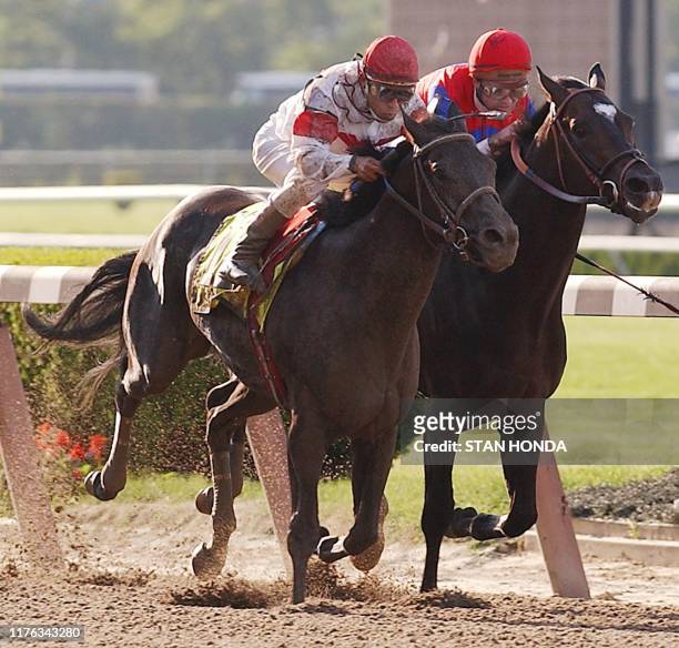 Sarava and Medaglia d'Oro race toward the finish in the 134th Belmont Stakes 08 June, 2002 in Elmont, NY. Sarava went on to win the race. AFP...