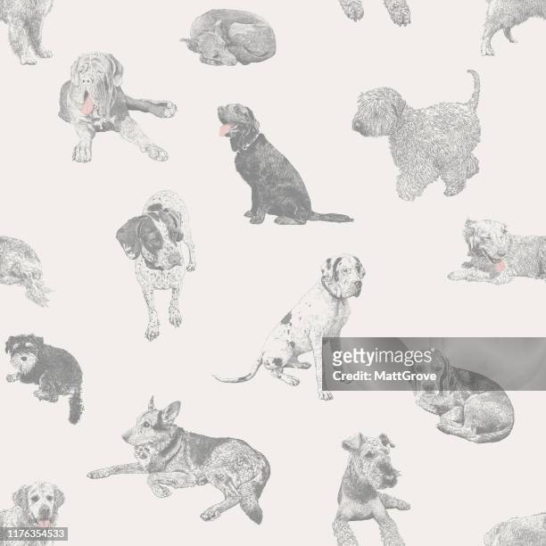 verschiedene hunde haustiere nahtlose wiederholung muster - labrador stock-grafiken, -clipart, -cartoons und -symbole