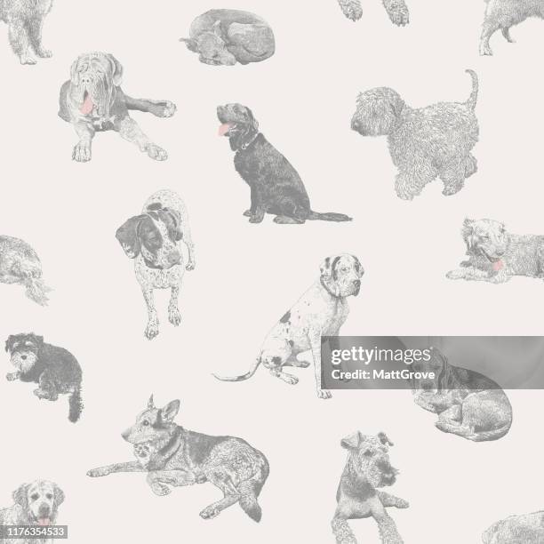 ilustrações de stock, clip art, desenhos animados e ícones de various dogs pets seamless repeat pattern - mixed breed dog