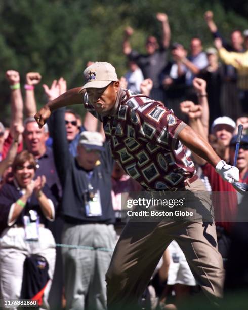 Team golfer Tiger Woods reacts after chipping in from off the 8th green in his match with Andrew Coltart during the 33rd Ryder Cup Matches at The...