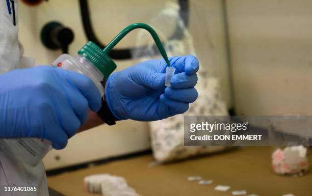 Drug Enforcement Administration chemist checks confiscated powder containing fentanyl at the DEA Northeast Regional Laboratory on October 8, 2019 in...