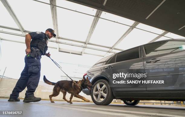 Customs and Border Protection canine team agent checks automobiles for contraband in the line to enter the United States at the San Ysidro Port of...