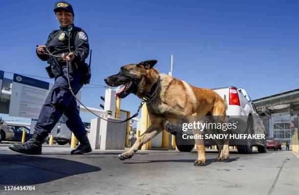 Customs and Border Protection canine team checks automobiles for contraband in the line to enter the United States at the San Ysidro Port of Entry on...