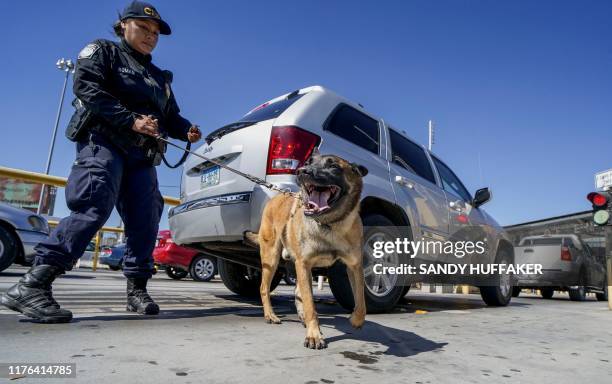 Customs and Border Protection canine team checks automobiles for contraband in the line to enter the United States at the San Ysidro Port of Entry on...