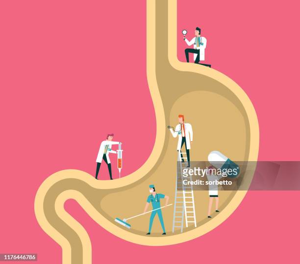 ilustraciones, imágenes clip art, dibujos animados e iconos de stock de estómago - digestive system
