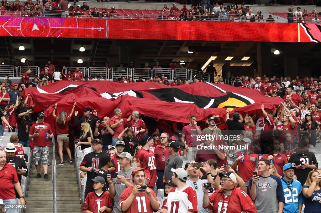 Carolina Panthers v Arizona Cardinals