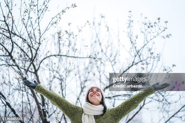 winter happiness - february 1 stock pictures, royalty-free photos & images