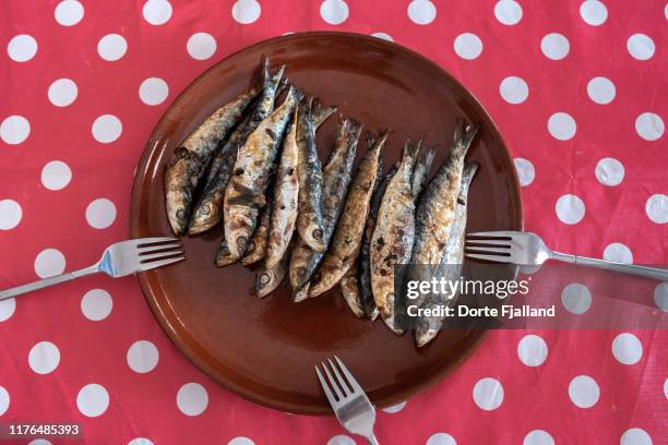 grilled anchovies (bouqerones) on a brown earthenware plate and a red tablecloth with white dots - anchovy fotografías e imágenes de stock