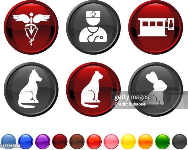 veterinary royalty free vector icon set - pet store stock illustrations