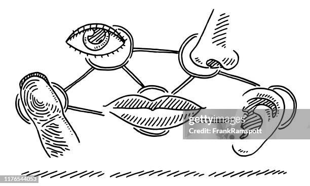 人類感官符號概述繪圖 - sensory perception 幅插畫檔、美工圖案、卡通及圖標