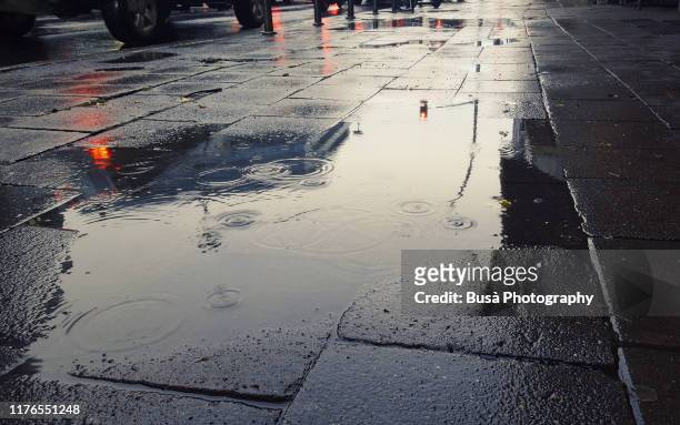 puddle on sidewalk in berlin, germany - rain puddle stock pictures, royalty-free photos & images