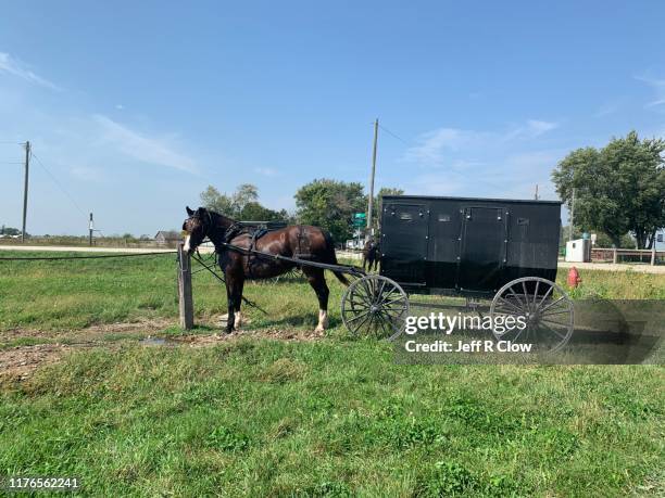 amish horse and carriage in northeast iowa - horse cart stock pictures, royalty-free photos & images