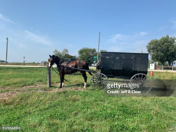 amish horse and carriage in northeast iowa - amish horse and buggy imagens e fotografias de stock
