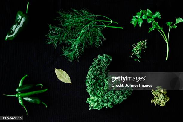 herbs and spices on black background - parsley stock-fotos und bilder