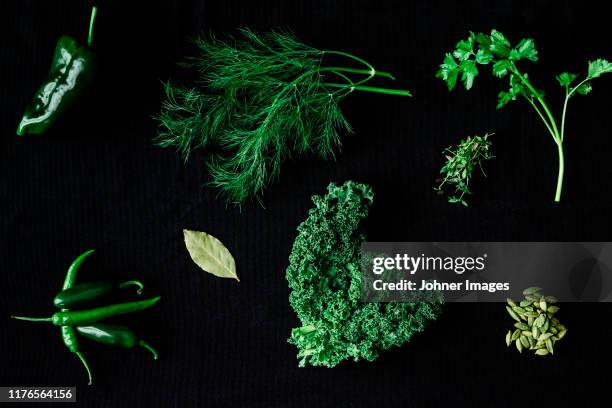 herbs and spices on black background - dill stock pictures, royalty-free photos & images