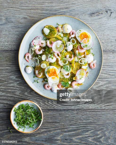 meal on plate - dill stock pictures, royalty-free photos & images