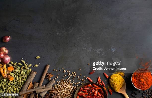 spices on grey background - spice stock pictures, royalty-free photos & images