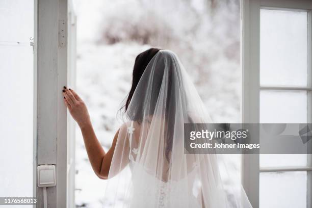 bride looking away - veil 個照片及圖片檔