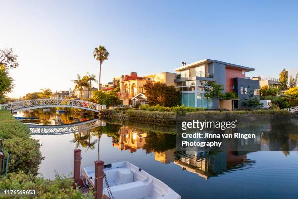 suburban houses and palm trees reflecting in the water in venice canal historic district in los angeles california - venice - california bildbanksfoton och bilder