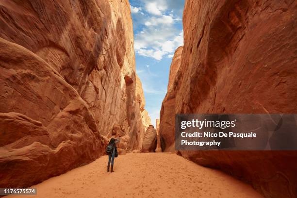 arizona's arches national park - canyon stock-fotos und bilder