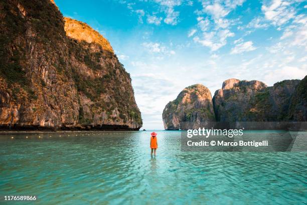 tourist admiring the view at maya bay, phi phi islands, thailand - phi phi island stock pictures, royalty-free photos & images