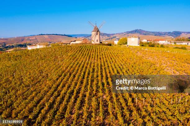 windmill and vineyards at chenas, france - rhone stock-fotos und bilder
