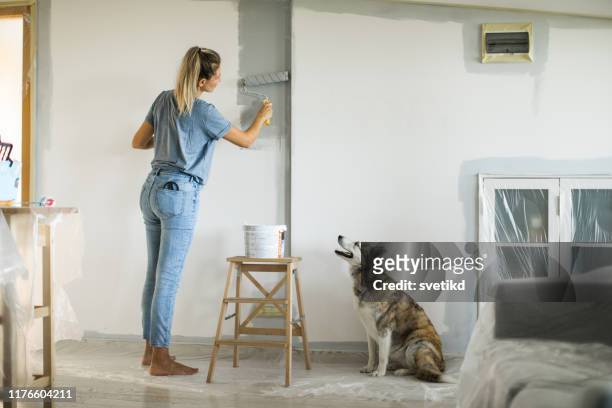donna che fa progetto fai-da-fare in appartamento - animal scale foto e immagini stock