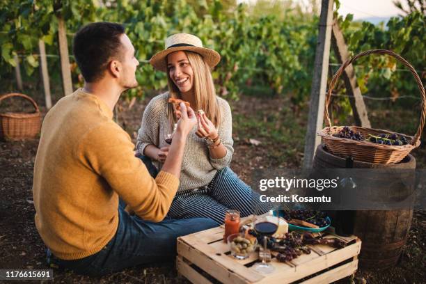 romantische brunch in wijngaard - romantic picnic stockfoto's en -beelden