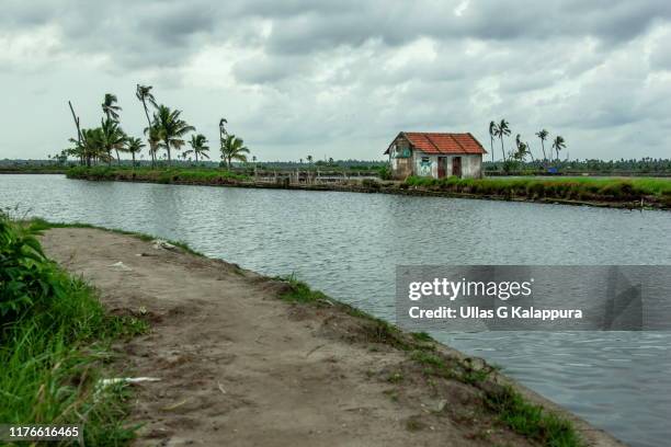 lonelyhouse - monsoon stock pictures, royalty-free photos & images