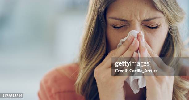 ik ben zo ziek als een puppy vandaag - hayfever stockfoto's en -beelden