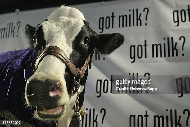 Georgia, star of Got Milk? commercials during New "Got Milk?" Commercial Premiere at Cinespace in Hollywood, California, United States.