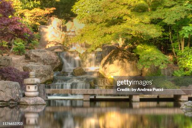 japanese kyoto garden in holland park, london, united kingdom - holland park foto e immagini stock