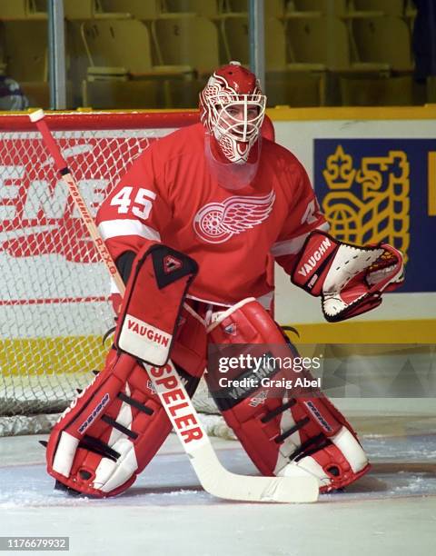 Kevin Hodson of the Detroit Red Wings skates against the Toronto Maple Leafs during NHL preseason game action on October 1, 1995 at Maple Leaf...