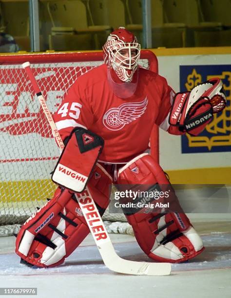 Kevin Hodson of the Detroit Red Wings skates against the Toronto Maple Leafs during NHL preseason game action on October 1, 1995 at Maple Leaf...
