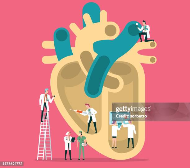 stockillustraties, clipart, cartoons en iconen met menselijk hart - heart internal organ