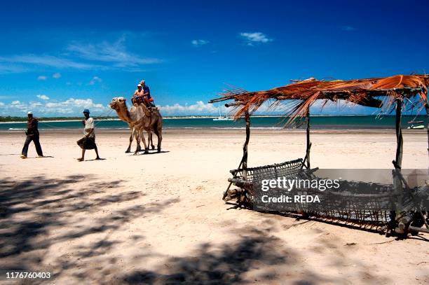 She shale.malindi.kenya.africa.