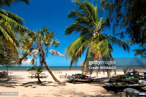 She shale.malindi.kenya.africa.