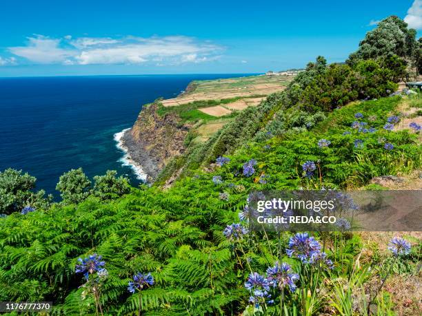 Landscape near Miradouro do Raminho. Island Ilhas Terceira. Part of the Azores in the atlantic ocean. An autonomous region of Portugal. Europe....