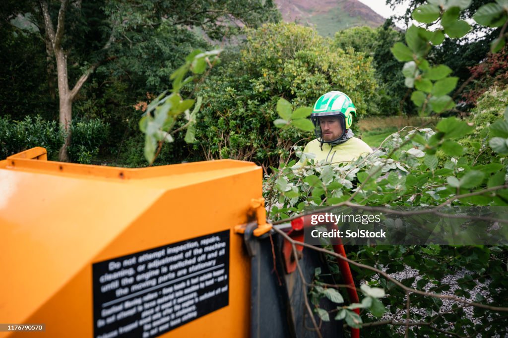 Tree Surgeons Machine Tree Surgeon Wearing Helmet And Visor Using Shredding Machine High-Res ...