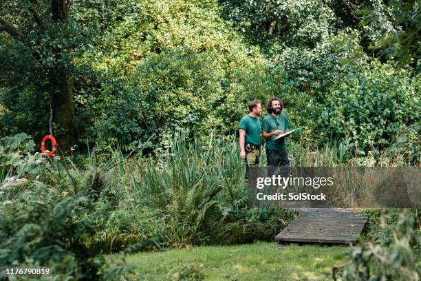due giardinieri paesaggistici in lavori di pianificazione del giardino ricoperti di vegetazione - landscape gardener foto e immagini stock