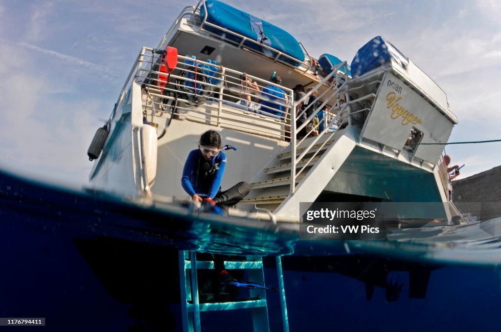 Snorkeler prepares to dive off a boat. Molokini. Maui. Hawaii. USA