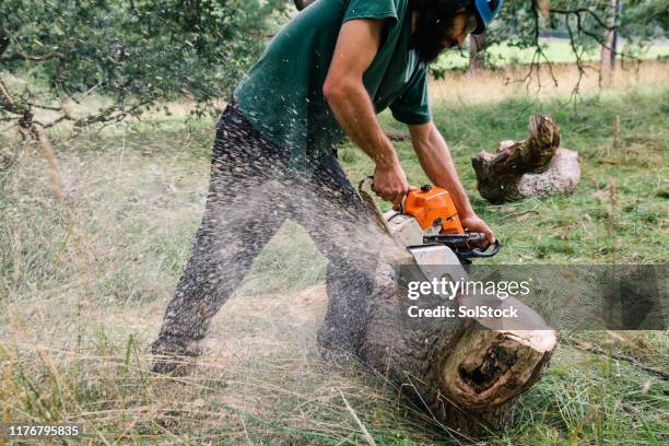 forestry worker sawing log with chainsaw - forester stock pictures, royalty-free photos & images